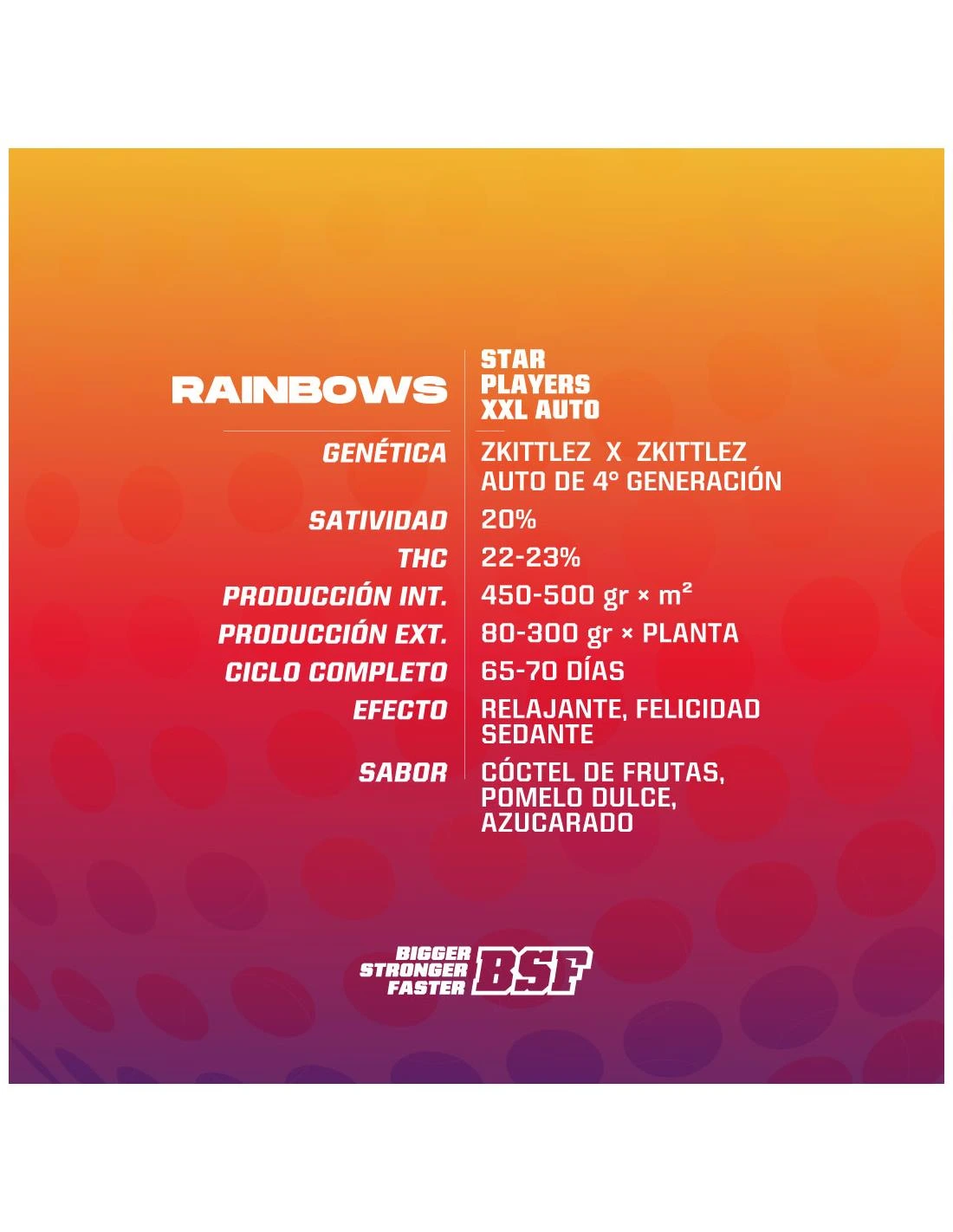 Rainbows XXL Auto - Imagem 5