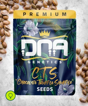 C.T.S AKA Chocolate Truffle Shuffle