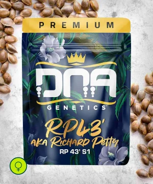 RP 43´AKA Richard Petty