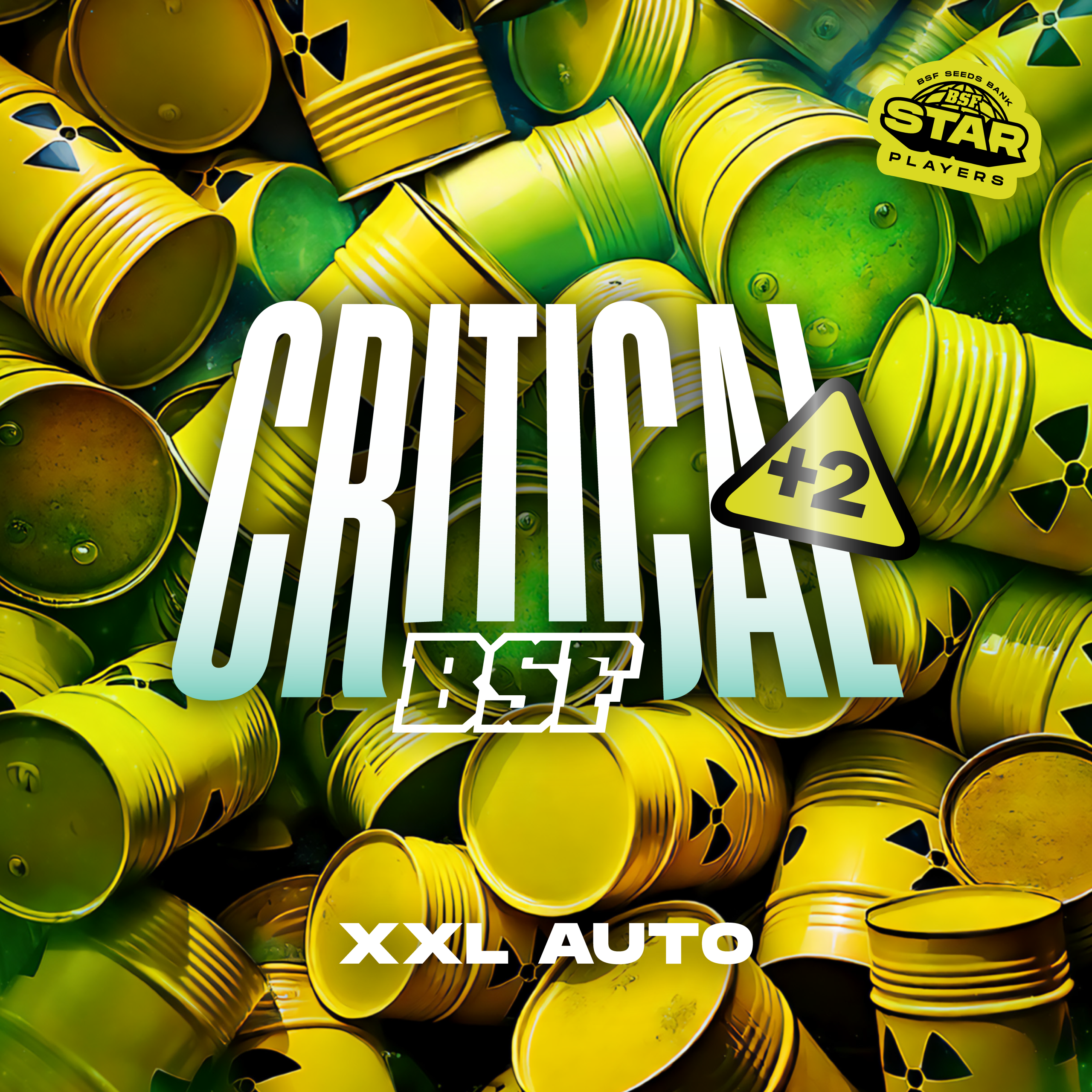 Critical +2 XXL Auto - Imagem 4