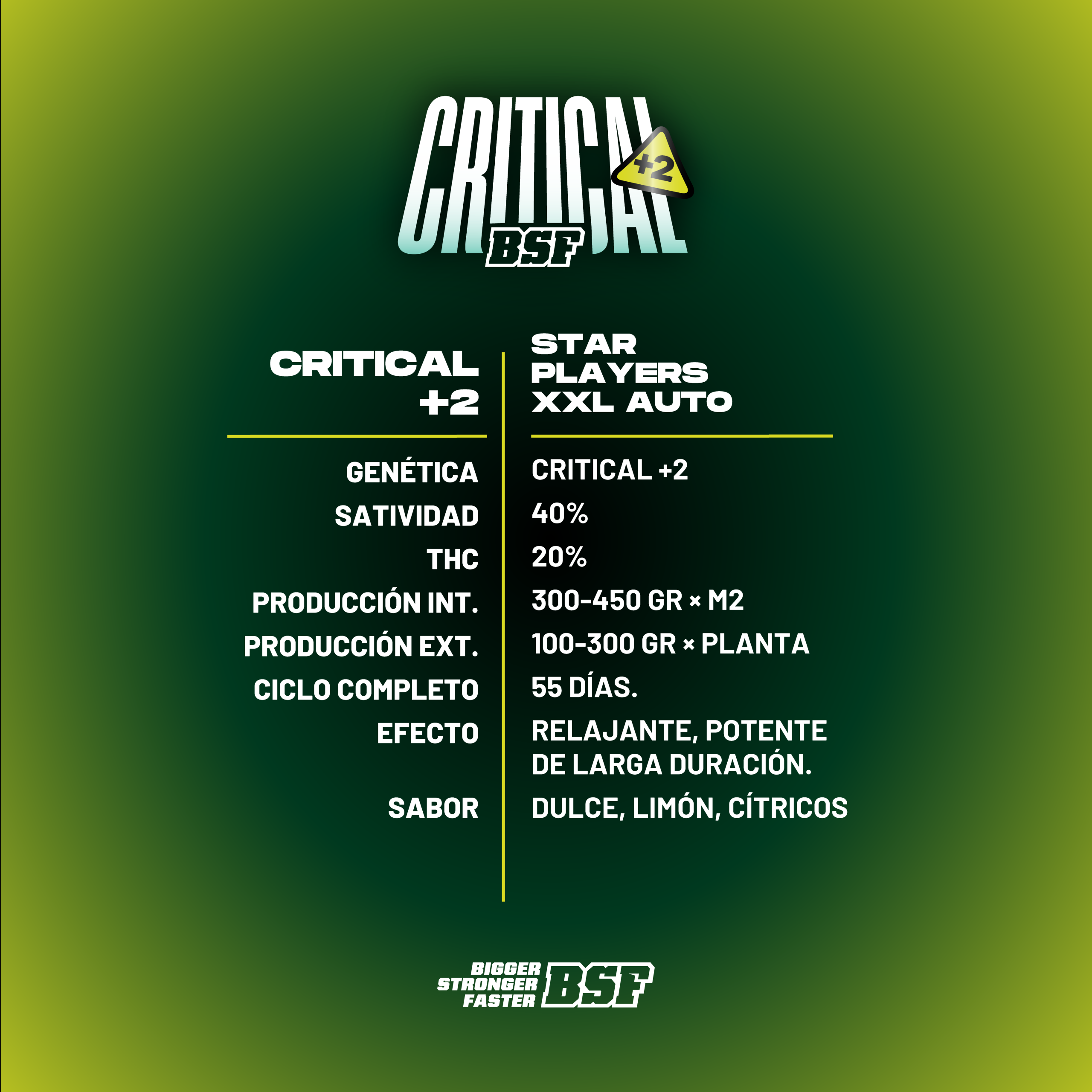 Critical +2 XXL Auto - Imagem 5