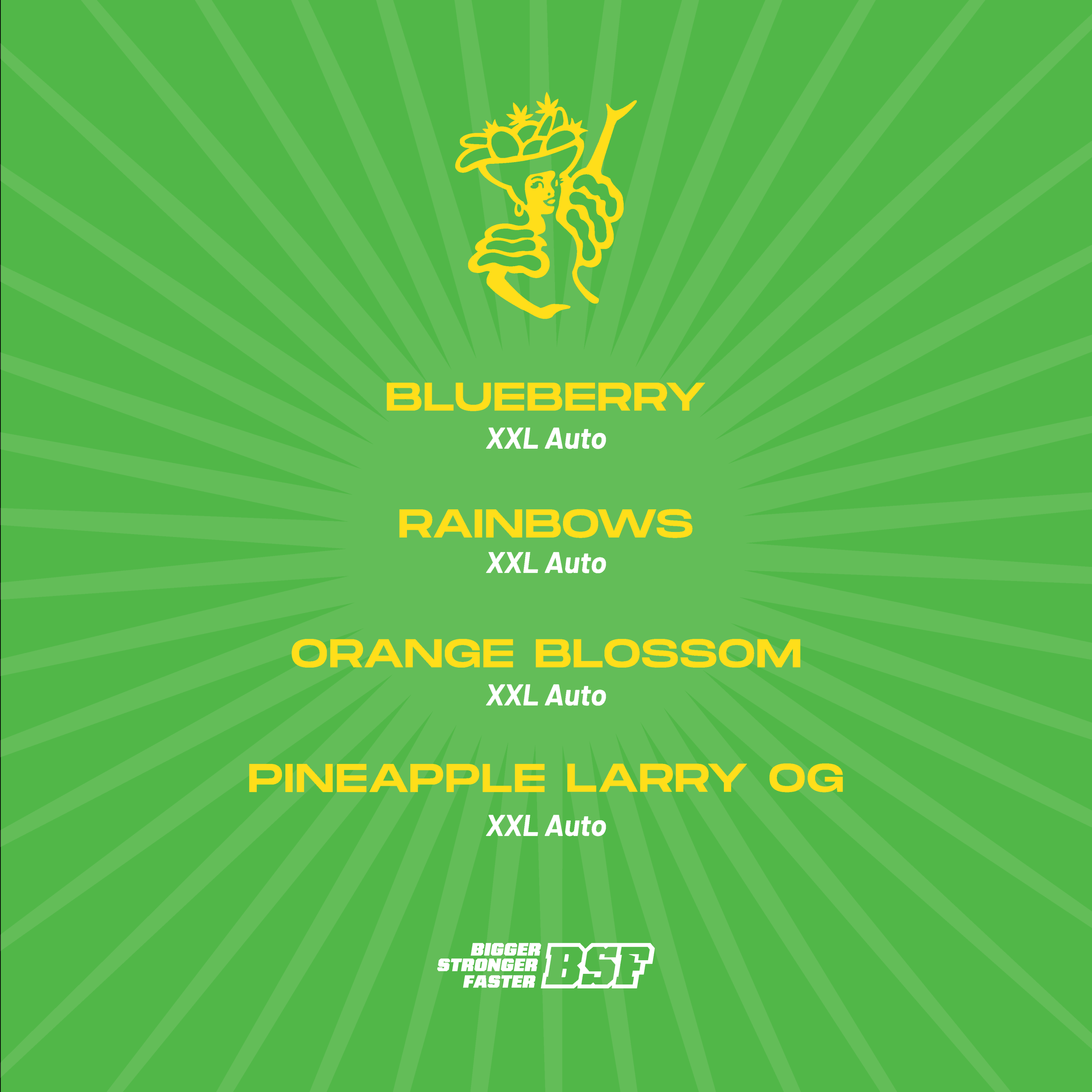 Tutti Frutti XXL Automix - Imagem 3