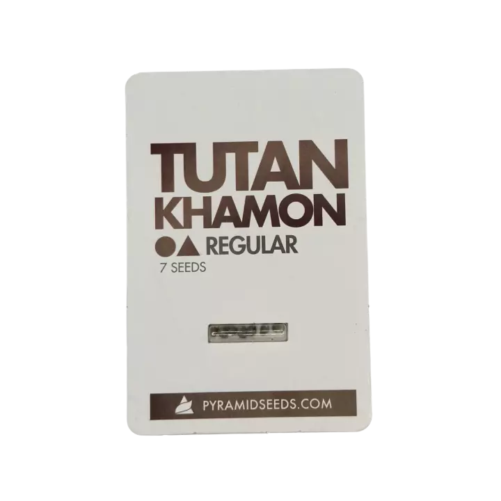 Tutankhamon Regular - Imagem 3