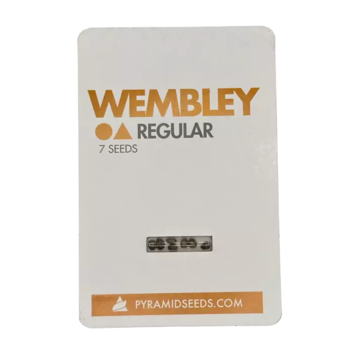 wembley-regular