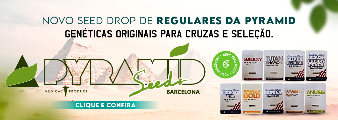Banner Regulares da Pyramid (Desktop)