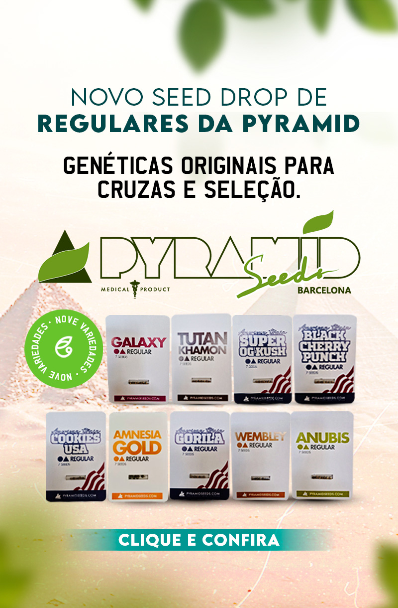 Banner Regulares da Pyramid (Mobile)