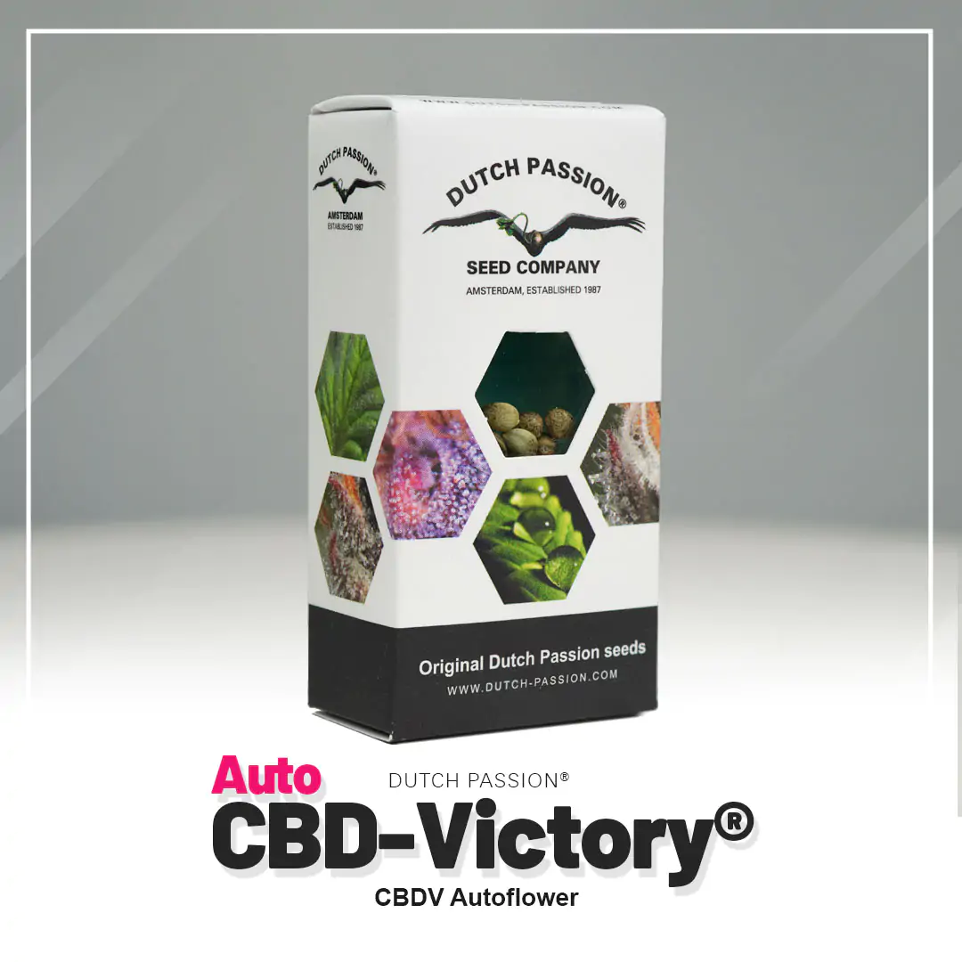Auto CBD-Victory® - Imagem 3