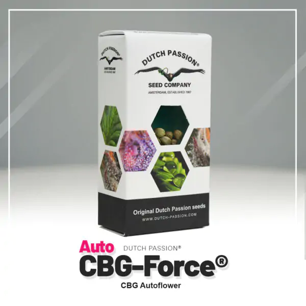 Auto CBG-Force® - Imagem 3