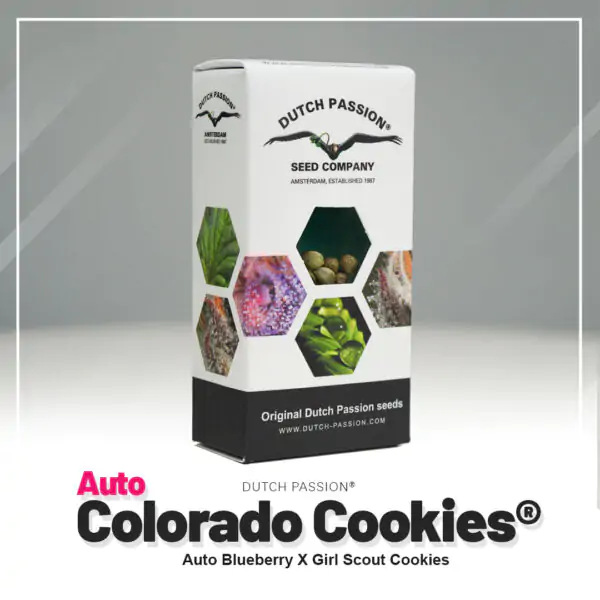 Auto Colorado Cookies® - Imagem 5