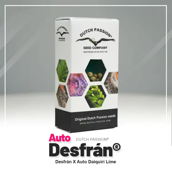 Auto Desfrán® - Imagem 5