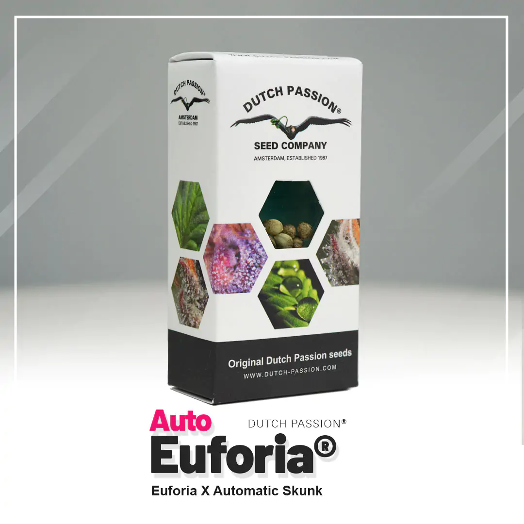 Auto Euforia® - Imagem 5