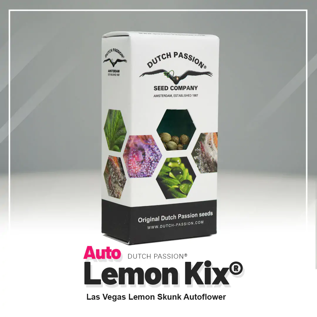 Auto Lemon Kix® - Imagem 5