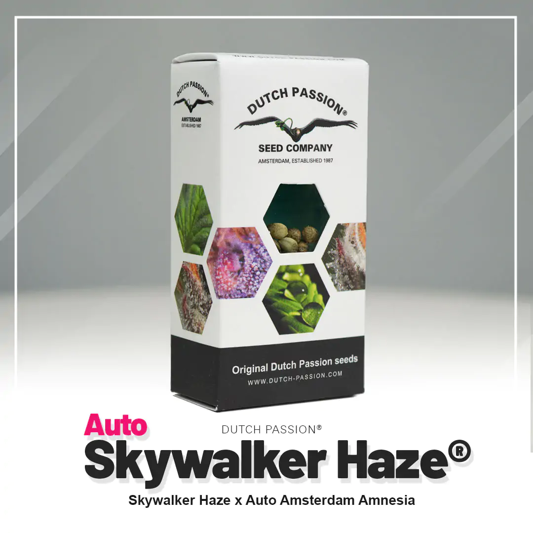 Auto Skywalker Haze® - Imagem 5