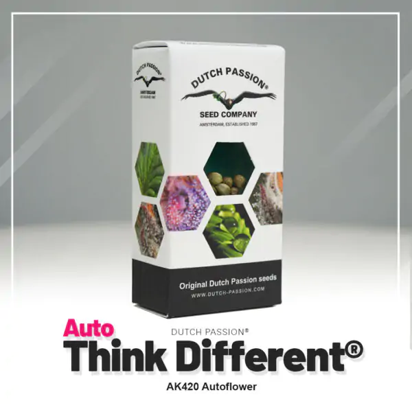 Auto Think Different® - Imagem 5