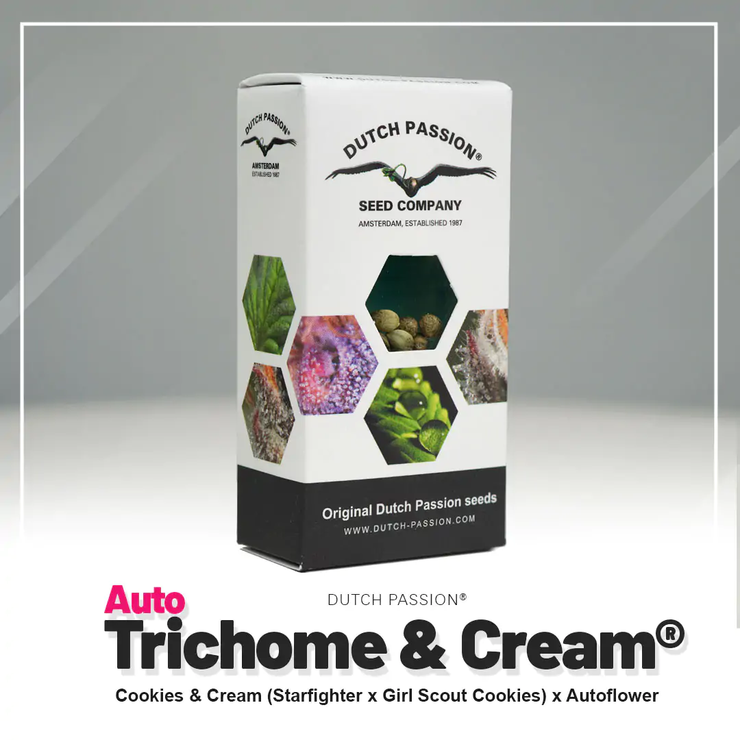 Auto Trichome & Cream® - Imagem 5