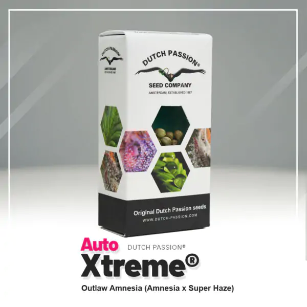 Auto Xtreme® - Imagem 5