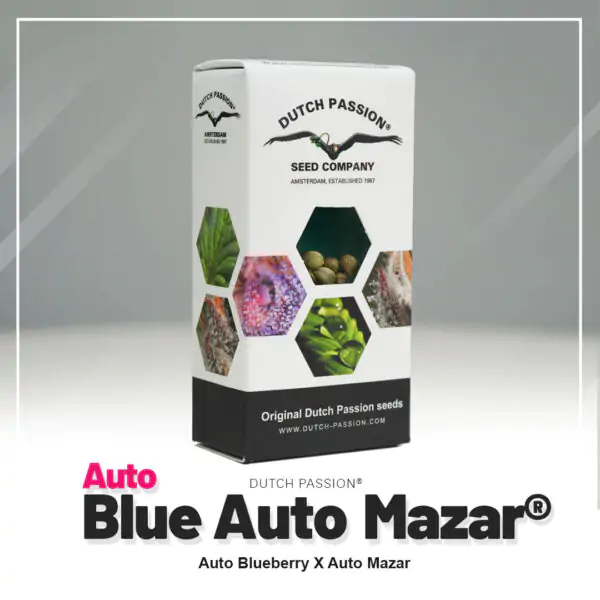 Auto Blue Mazar® - Imagem 5