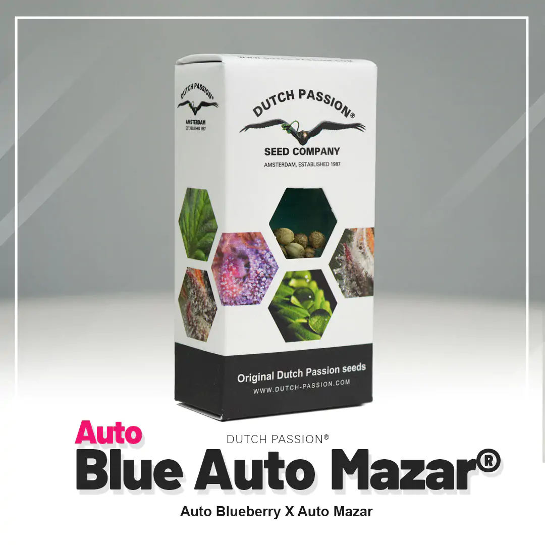 Auto Blue Mazar® - Imagem 5