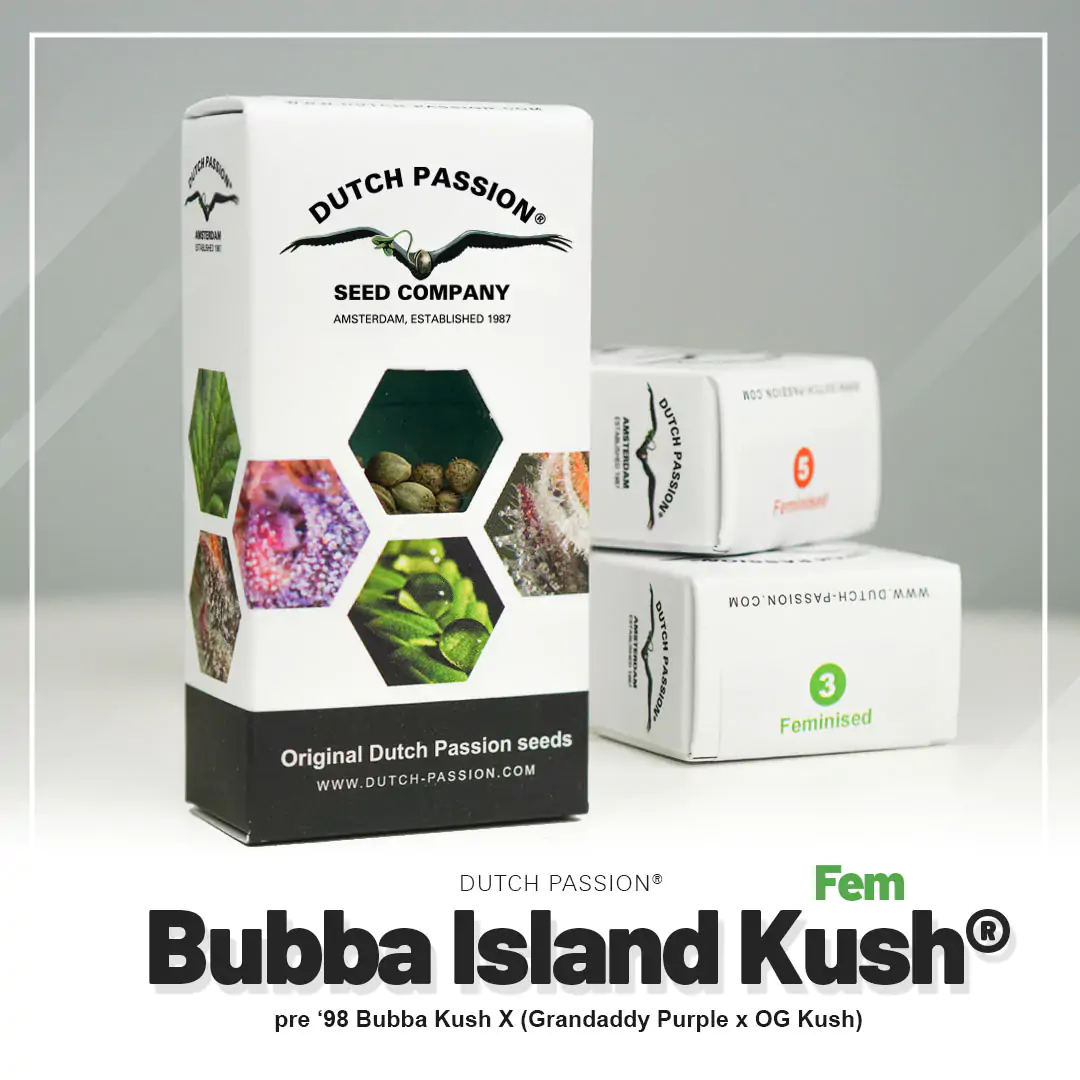 Bubba Island Kush® - Imagem 5
