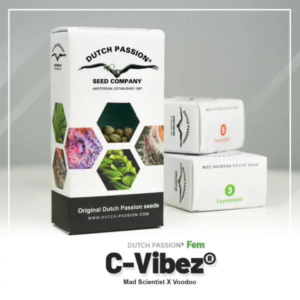 C-Vibez® - Imagem 2