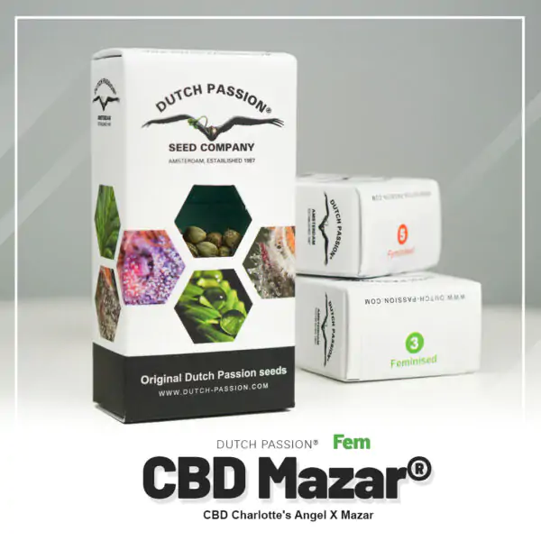 CBD Mazar® - Imagem 3
