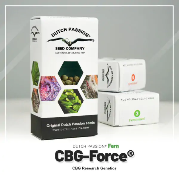 CBG-Force® - Imagem 5