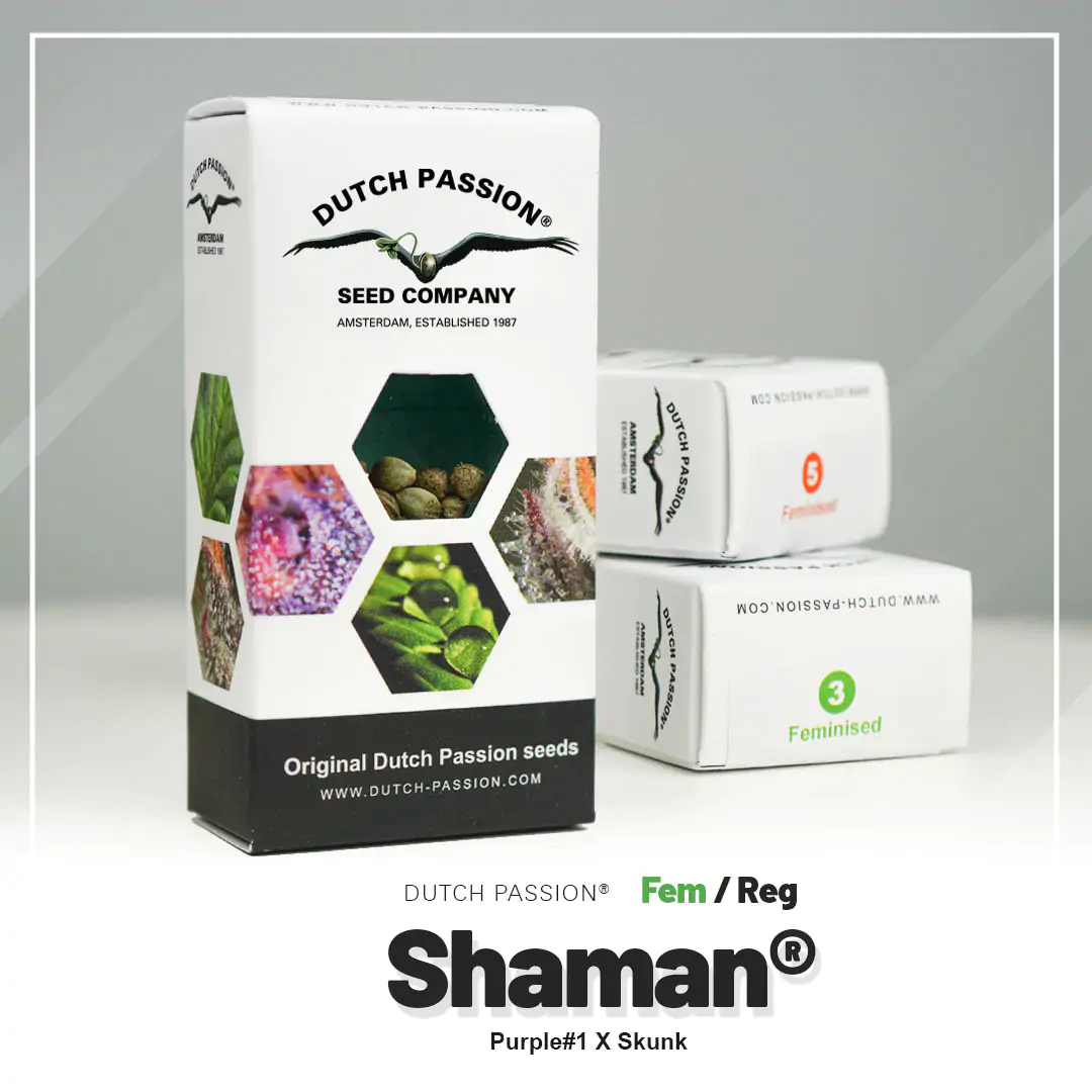 Shaman® - Imagem 5