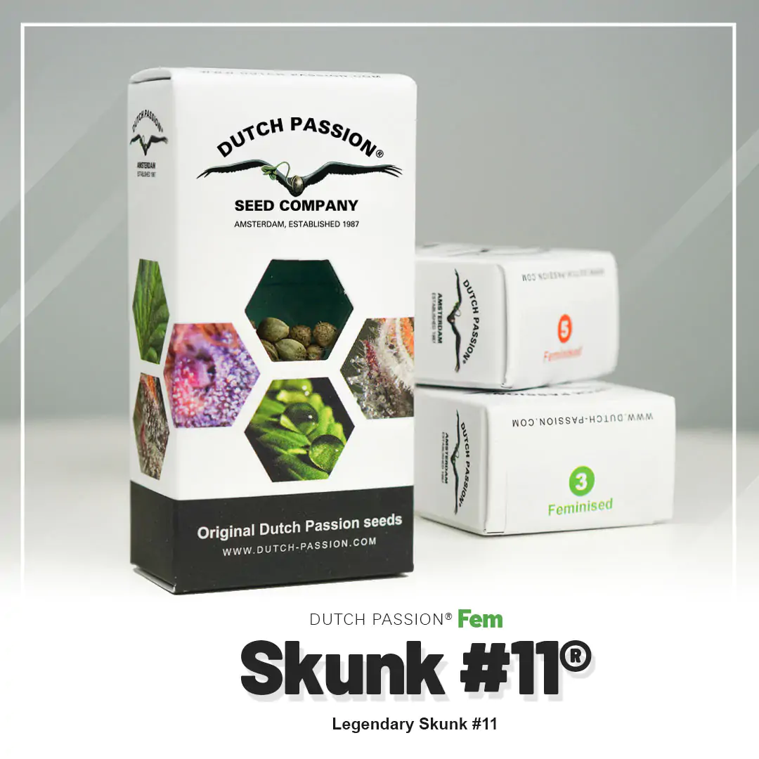Skunk #11® - Imagem 5