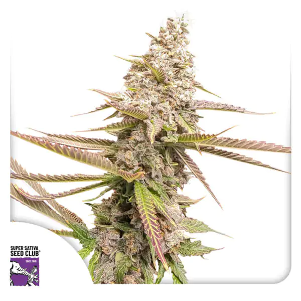 Strawberry Cookies - Imagem 2
