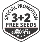 Promo